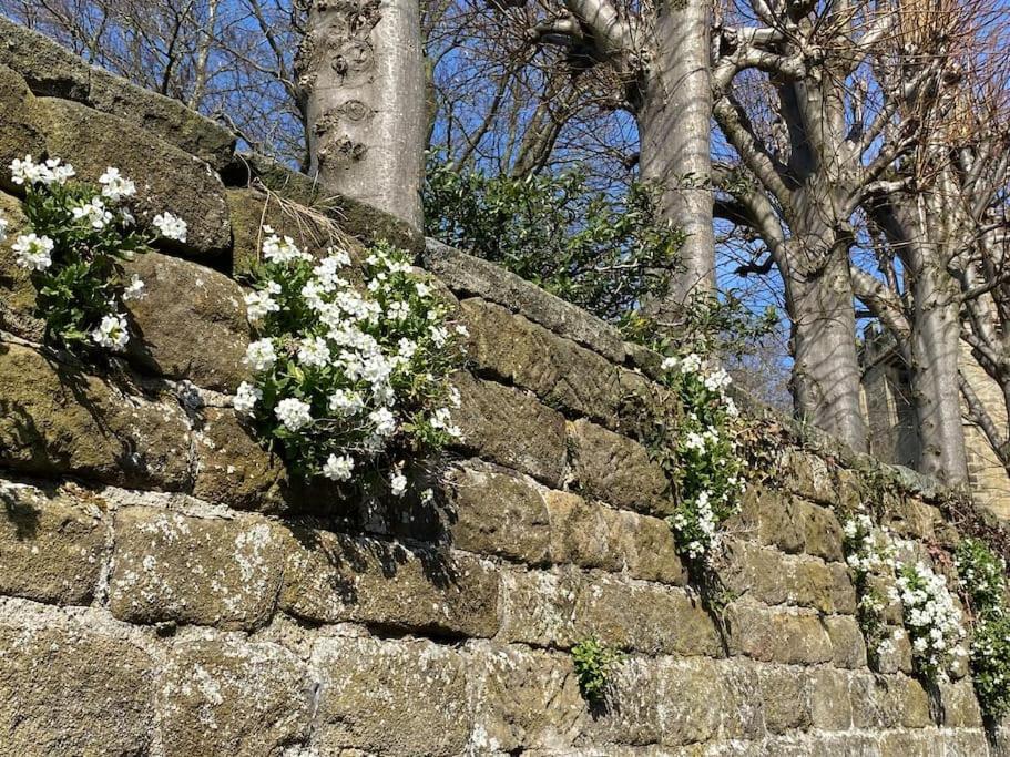 Garden Cottage - Ashover Village Near Matlock Chesterfield Extérieur photo